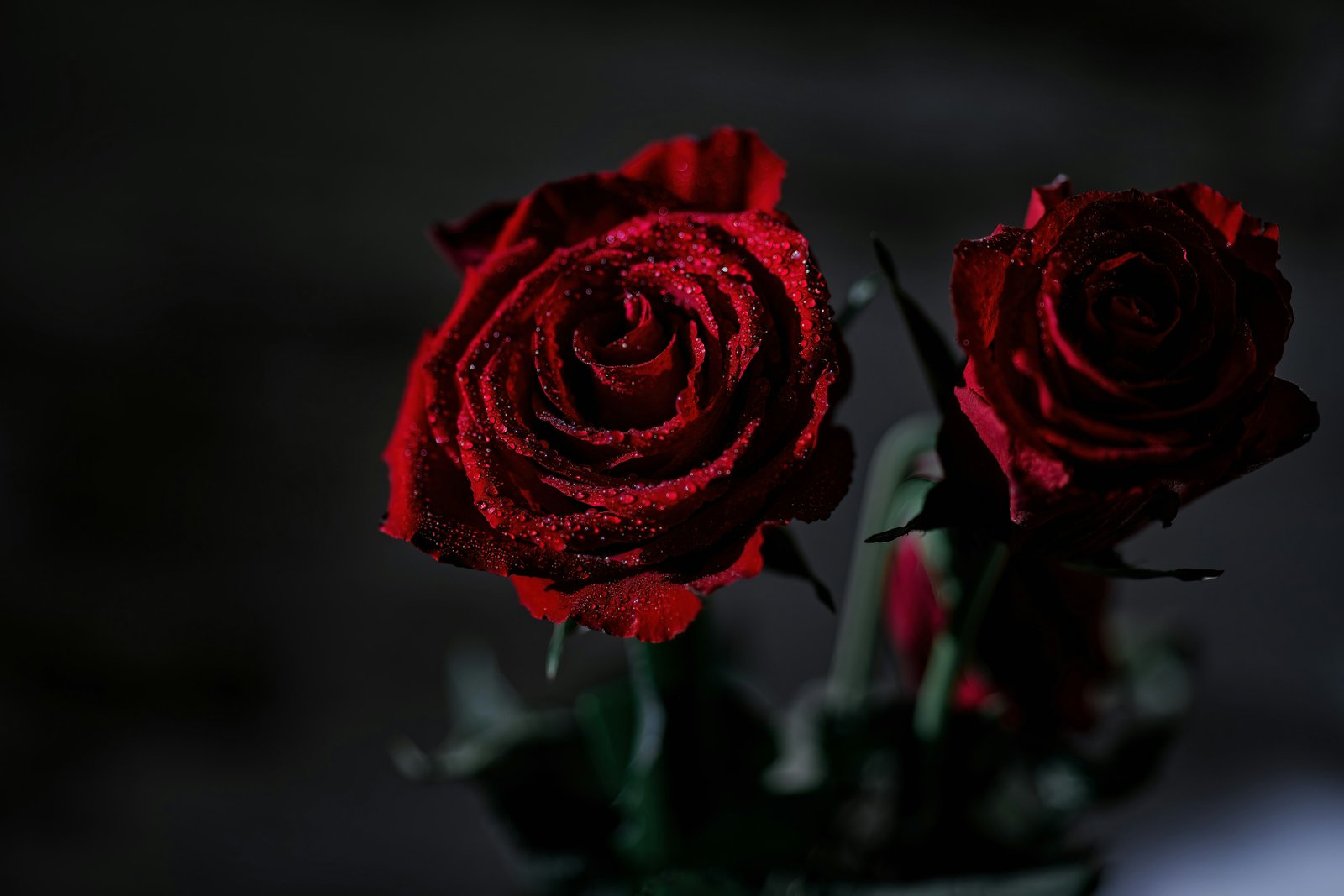 Wujudkan Impian dengan Rangkaian Bunga Yang Indah