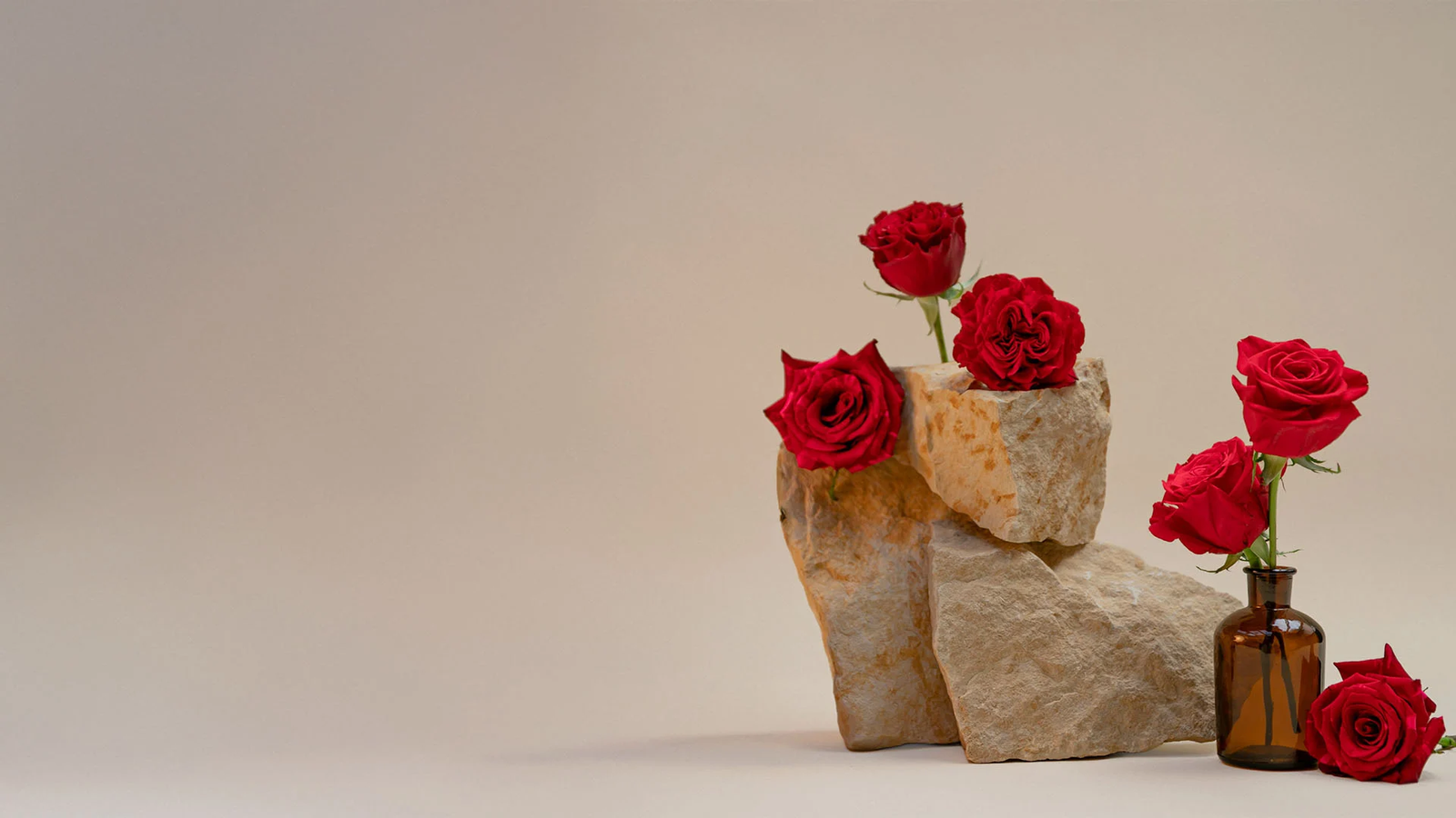 Valentine Day ❤️